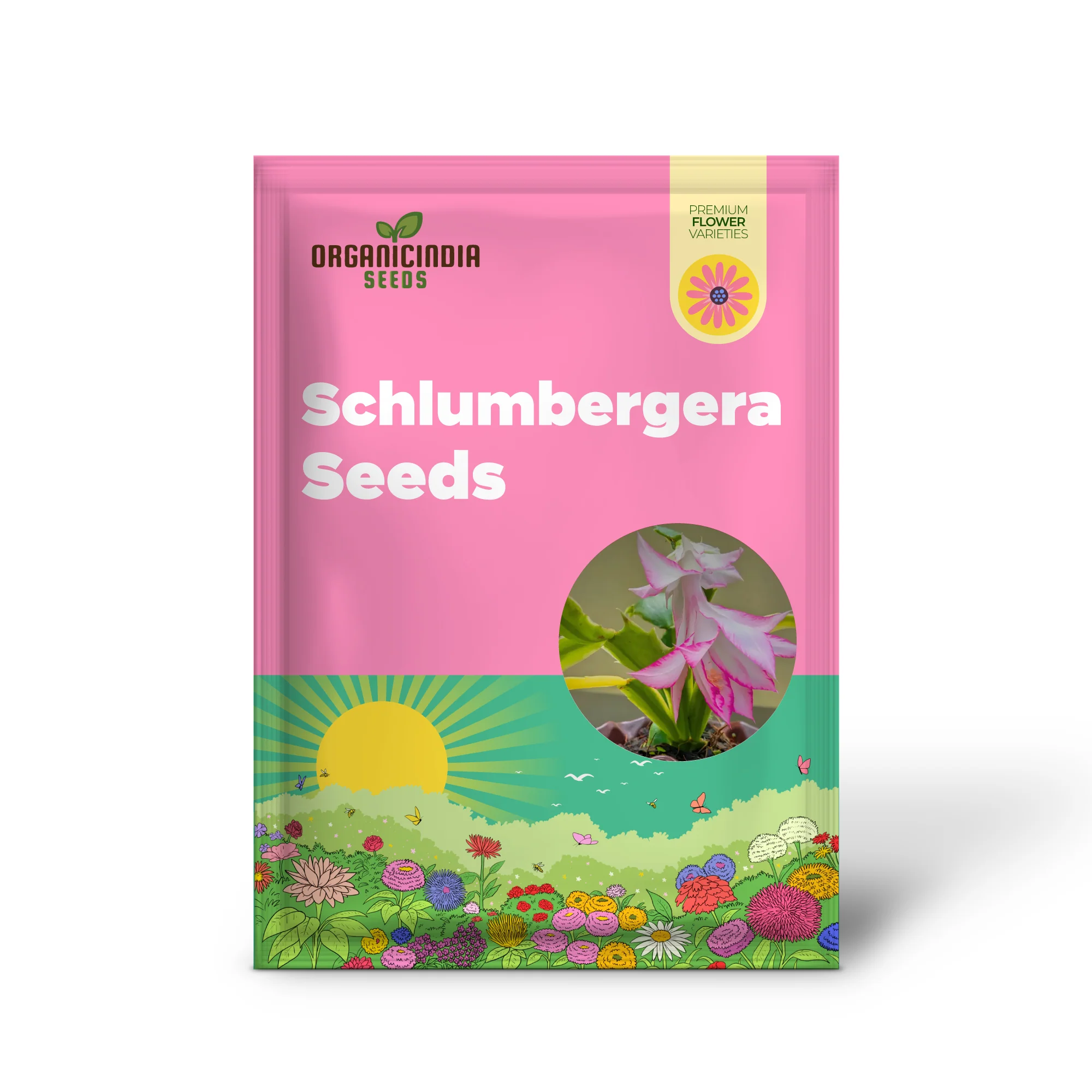 Zygocactus Schlumbergera Seeds for Planting - 100 pcs - Image 2